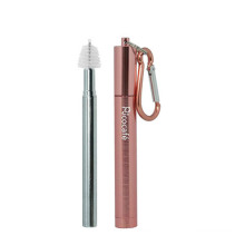 2 in 1 Collapsible Stainless Steel Straw